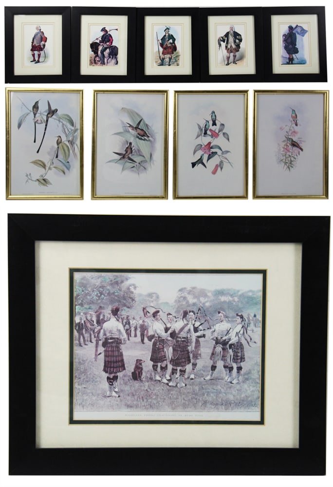 English Prints, Hummingbird Prints (1 of 19)