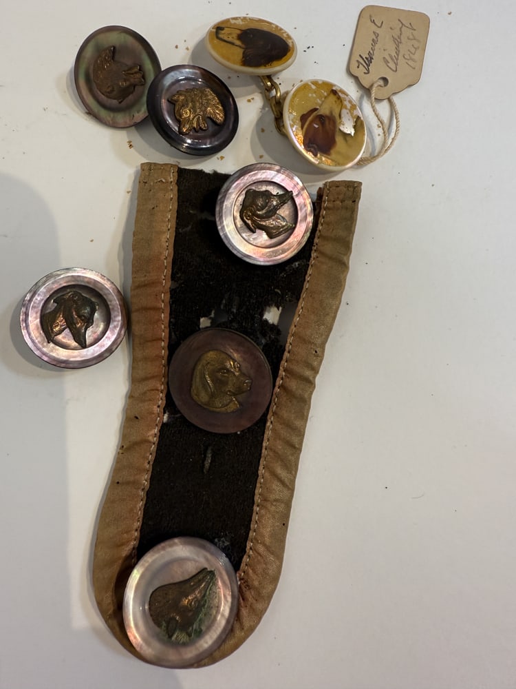 19thC Animal Buttons - 2