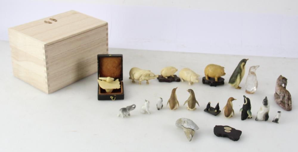 Miniature Penguins and Pigs - 10