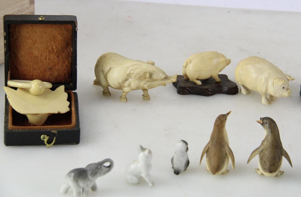 Miniature Penguins and Pigs - 11
