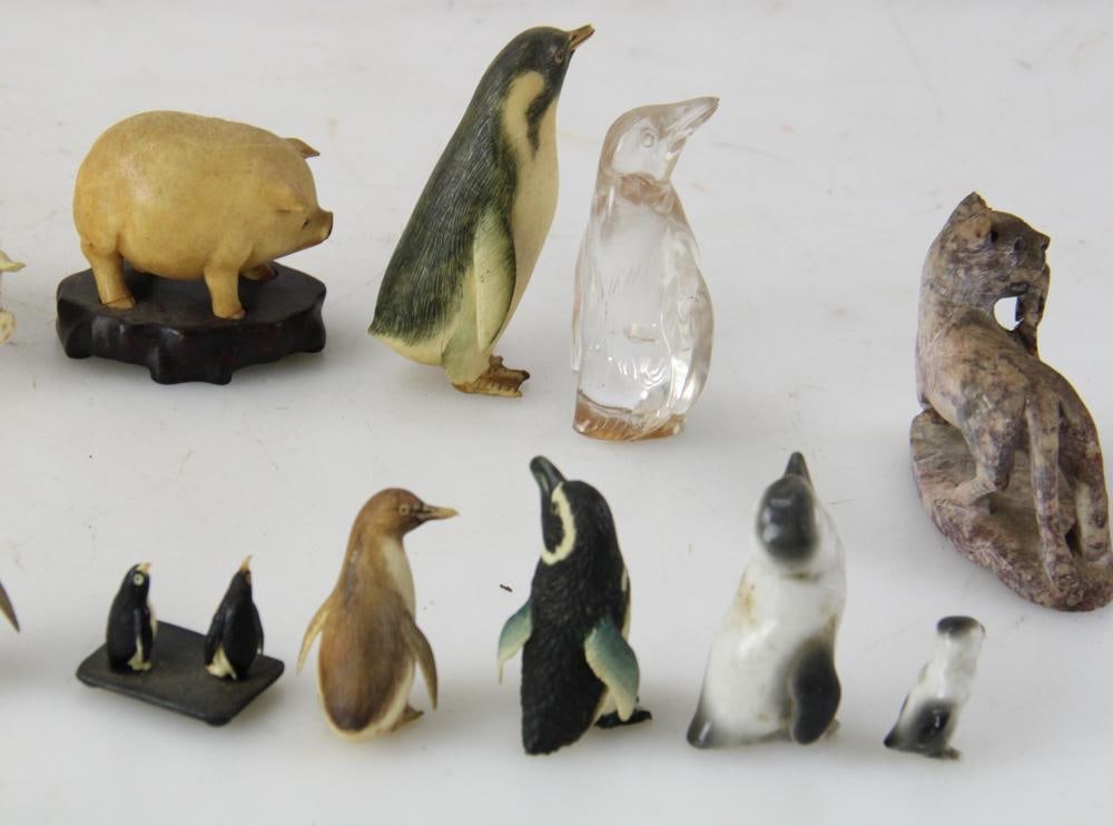 Miniature Penguins and Pigs - 12