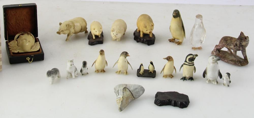 Miniature Penguins and Pigs - 2