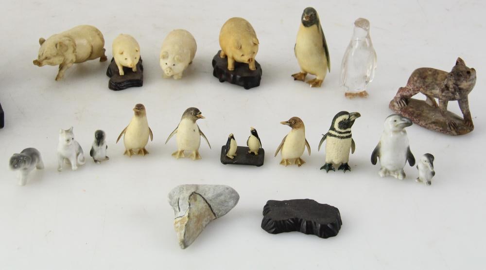 Miniature Penguins and Pigs - 3