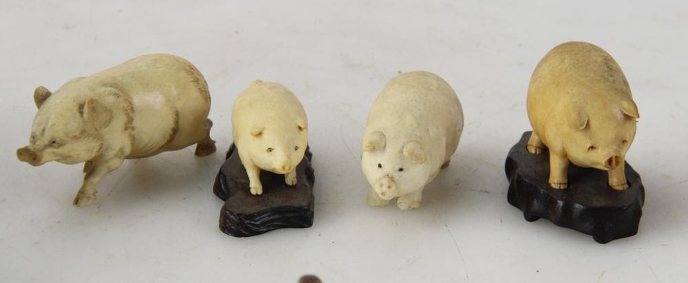 Miniature Penguins and Pigs - 4