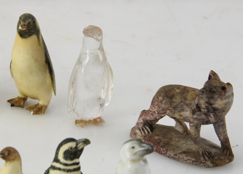 Miniature Penguins and Pigs - 5