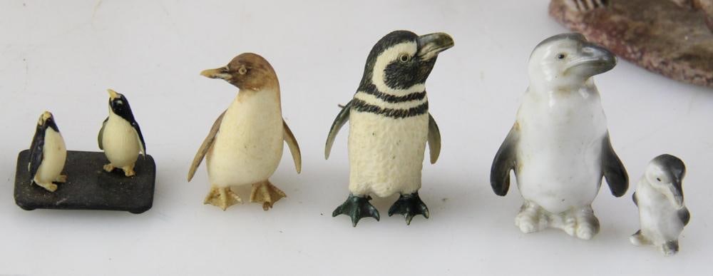 Miniature Penguins and Pigs - 6