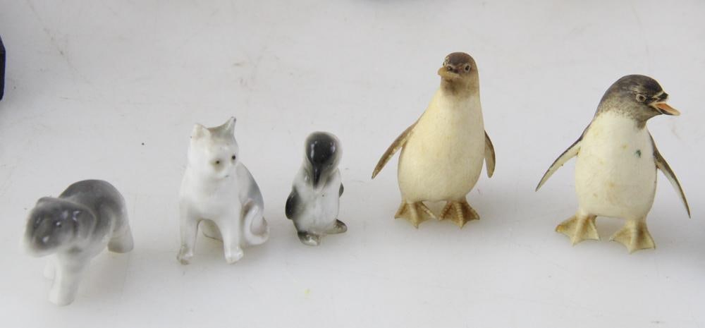 Miniature Penguins and Pigs - 7