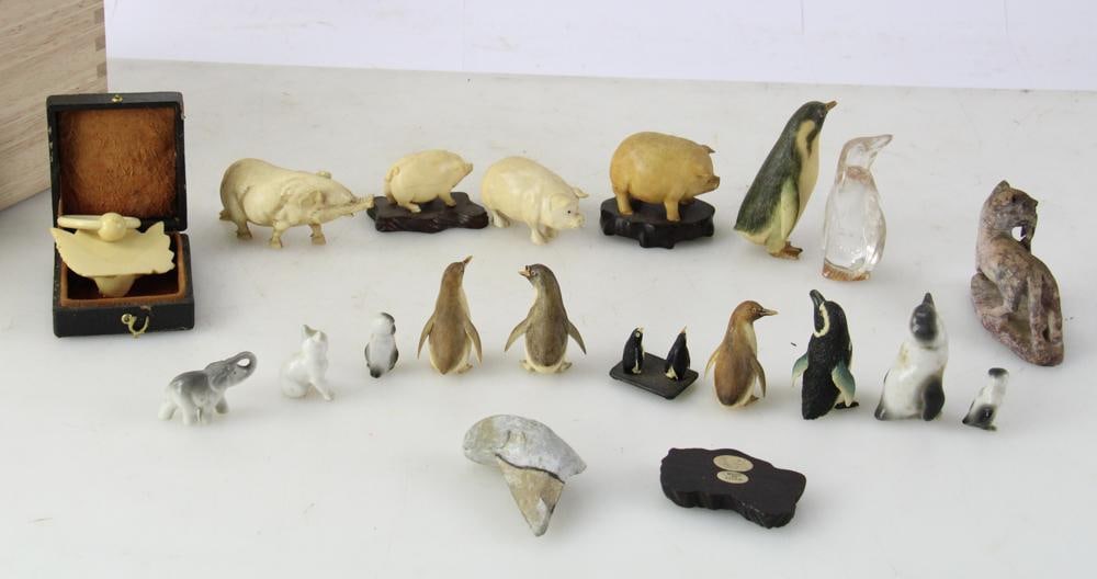 Miniature Penguins and Pigs - 9