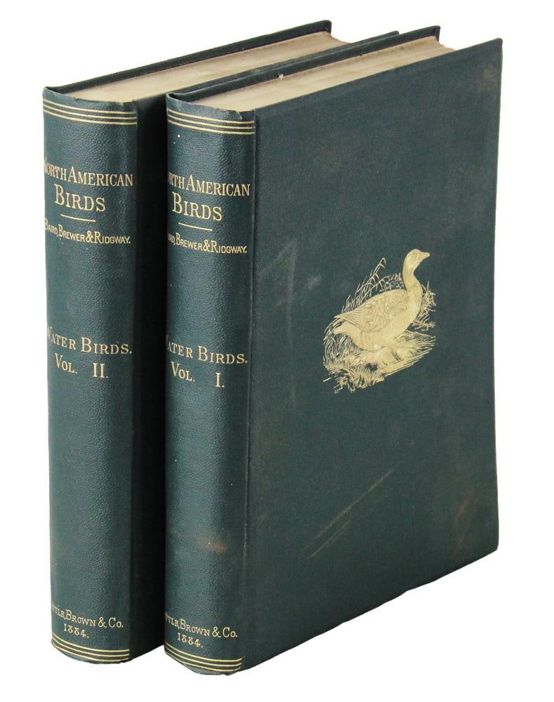 North American Birds, Baird, Brewer and Ridgway (1 of 9)