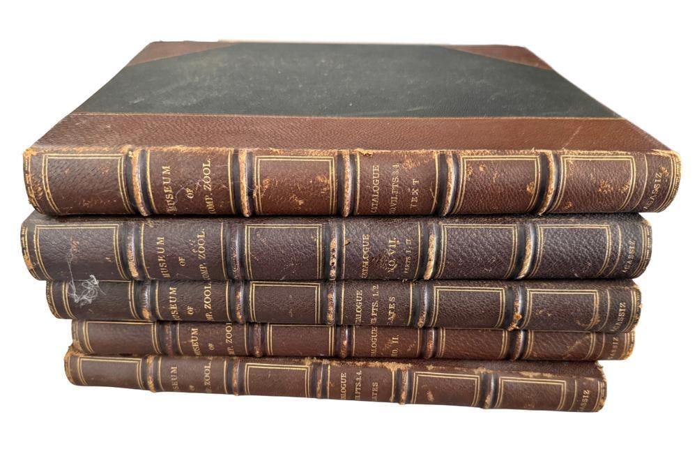 Books, Museum of Comparative Zoology at Harvard: Books, "Illustrated Catalogue of the Museum of Comparative Zoology at Harvard College", (5) volumes. Provenance: Estate of the late Joseph W. Haley, of Pride's Crossing, Massachusetts.