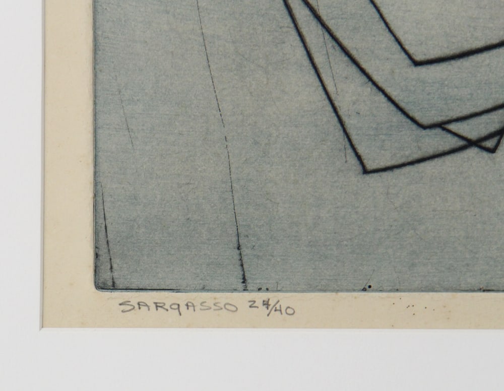 Francis Kelly, "Sargasso", Etching - 7