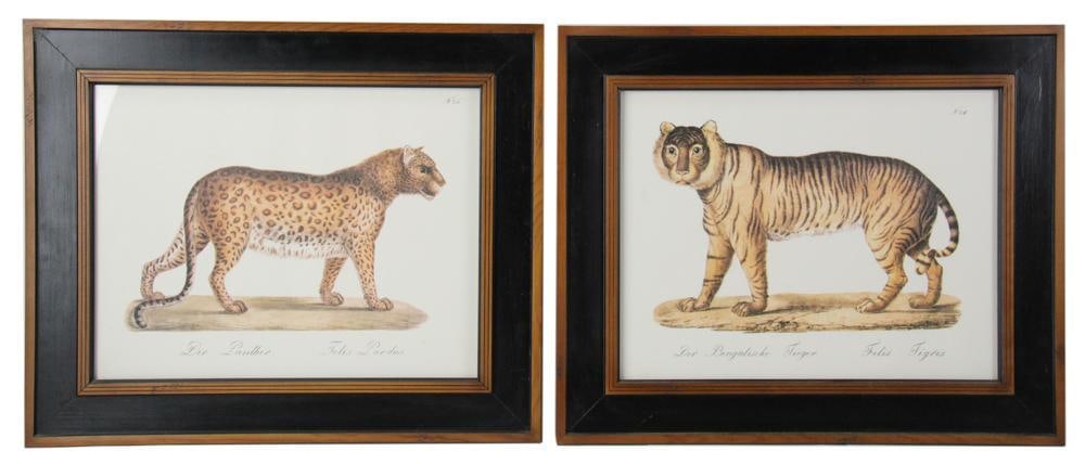 19thC Prints of Panther and Tiger by Karl Brodtmann (1 of 13)