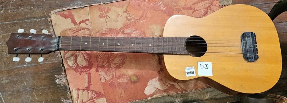 Guitar (1 of 1)