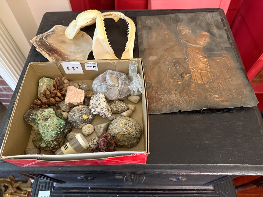 Minerals and Shark's Teeth: Minerals and shark's teeth. NOTE: Item to be picked up at 64 East 80th St., New York, NY. Deadline for pick-up is July 31st. Please call our front desk at 978-927-2223 to schedule pick-up.