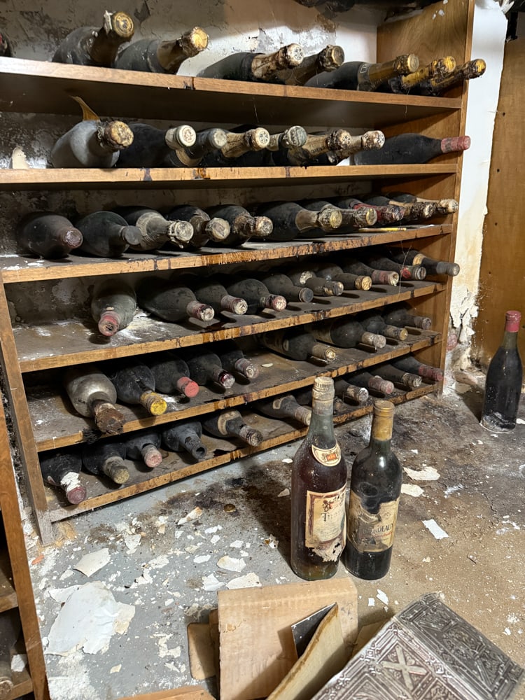 Large Collection of Old Wine Bottles (1 of 13)