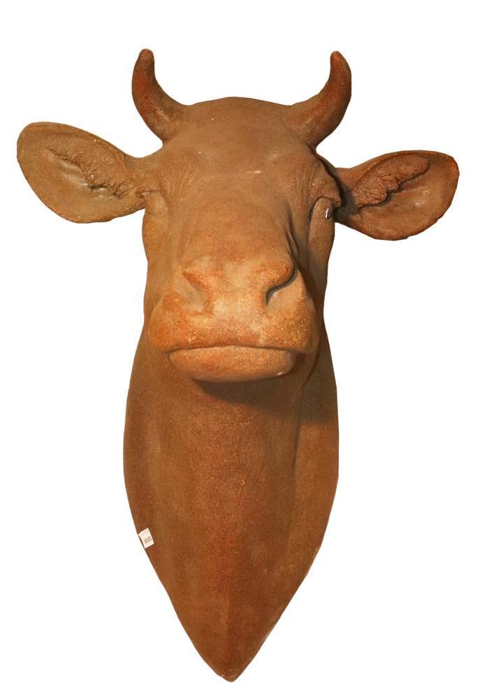 Cow Head: Cow head, 35" H x 25" W x 26 1/2" D. Provenance: Private Collection, Dover, Massachusetts.