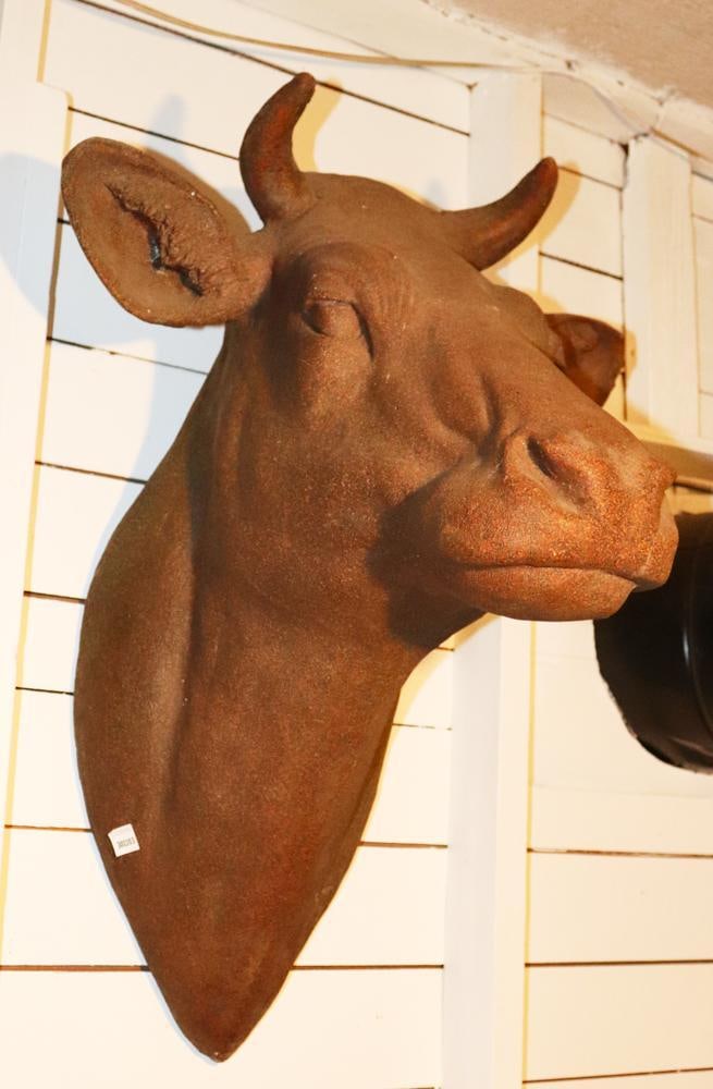 Cow Head - 2