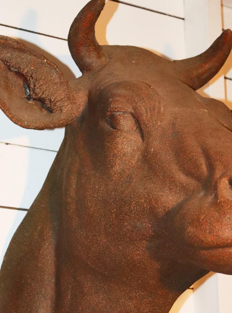 Cow Head - 3