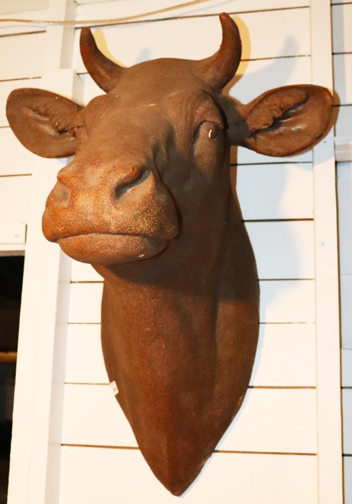 Cow Head - 4