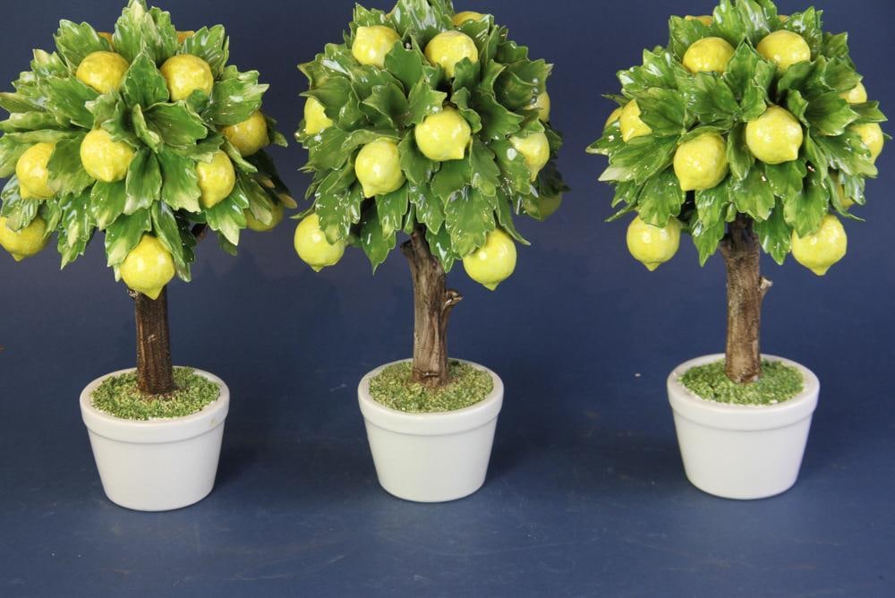 Capodimonte Pottery Lemon Trees - 4