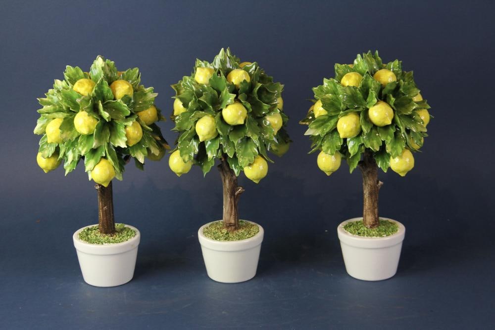 Capodimonte Pottery Lemon Trees - 6