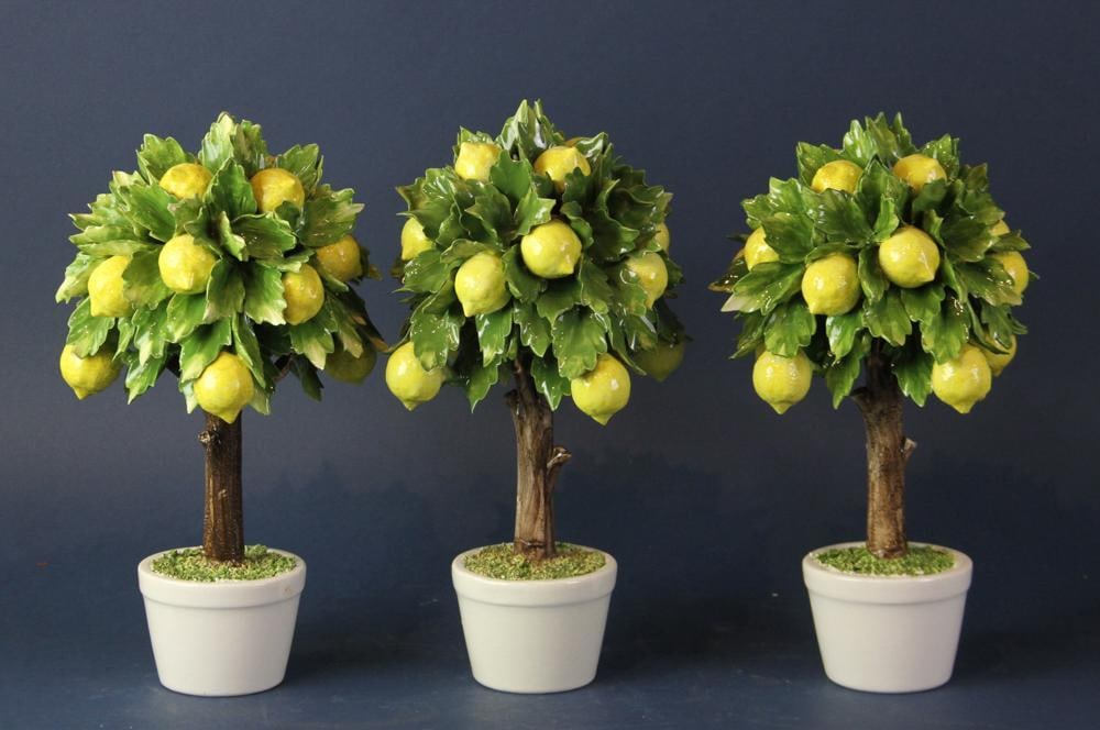 Capodimonte Pottery Lemon Trees - 7