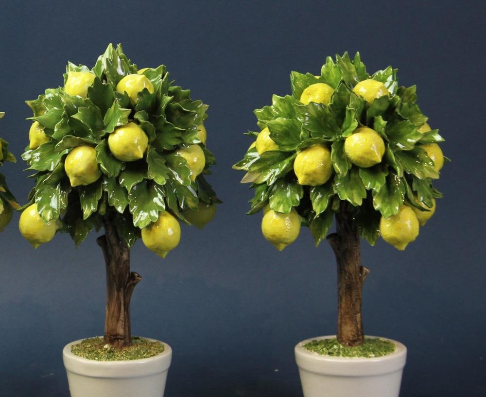 Capodimonte Pottery Lemon Trees - 8