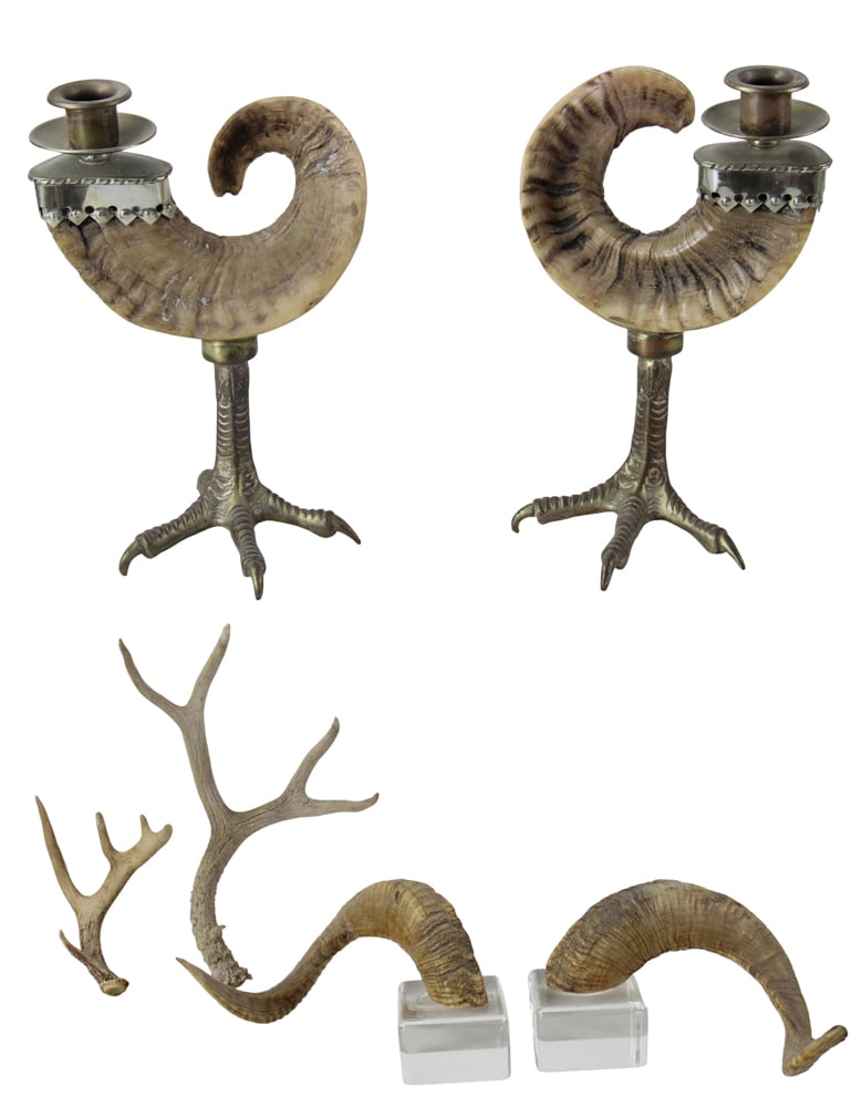 Ram's Horn Candlesticks with Other Horns: Ram's horn candlesticks, with other horns, tallest 10" x 7 1/2". Provenance: Stockton, Maine estate.