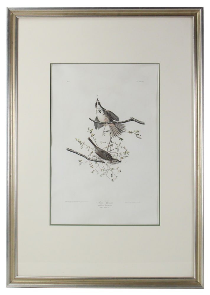 Havell Edition Audubon Aquatint, "Song Sparrow" (1 of 9)