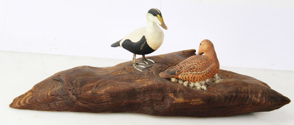Mark Holland Common Eider Ducks Carving: Mark Holland carving of two Common Eider ducks on wood perch, 8" H x 21" W x 9" D. Provenance: Palm Beach, Florida estate.