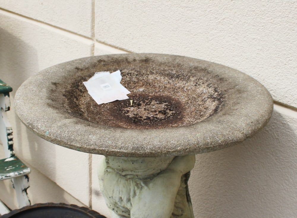 Two-part Bird Bath - 6