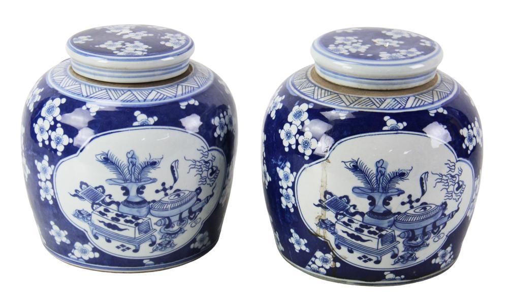 Pair of Chinese Blue and White Ginger Jars (1 of 9)