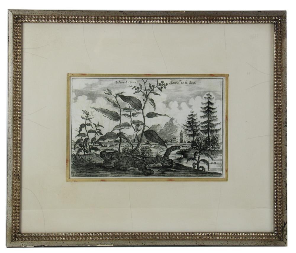 Wortel China Racine de la Sine: Wortel China Racine de la Sine, 14" x 9", framed 26" x 22". Provenance: Palm Beach, Florida estate.
