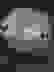 item-23244748=5