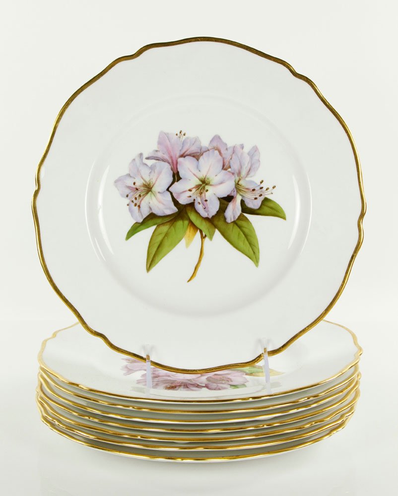 8 English Spode Copeland Plates: Lot of eight English Spode Copeland dinner plates, hand colored with rhododendrons, marked "Tatman, Chicago," 10"dia. Provenance: From a MA collector.