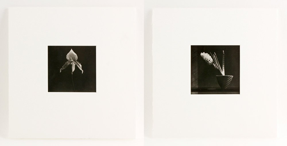 Attr. Mapplethorpe, 2 Polaroids: Attributed to Robert Mapplethorpe, two polariods of flowers, matted, 3 1/4" h x 3 1/8" w (view). Provenance: VA estate.