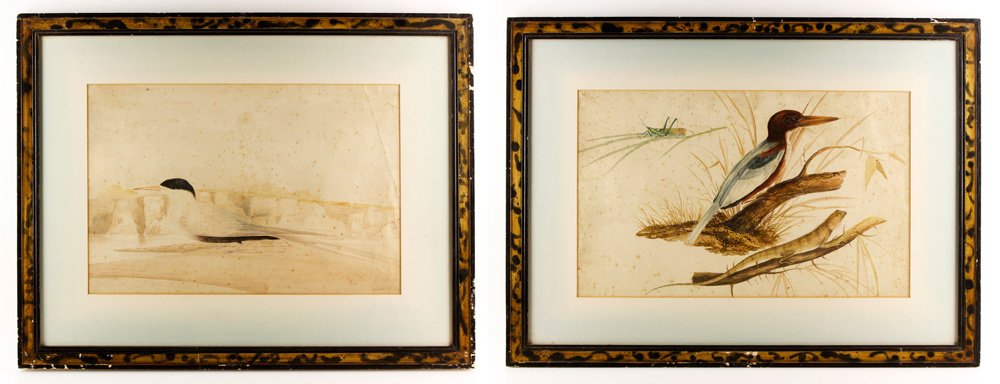 Abbott, Two Nature Studies: George Abbott, lot of two nature studies, watercolor on paper, each with handwritten information in ink on verso regarding the subjects, each signed and dated 1824 and 1825 verso, not laid down, one 1