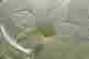 item-35770362=3