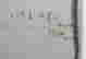 item-36147479=5