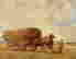 item-40381739=2