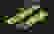 item-40382011=2