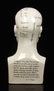 Porcelain Phrenology Head - 3