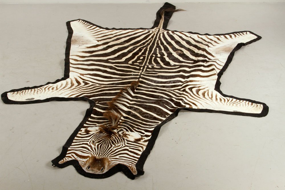Zebra Rug: Antique Zebra Rug. Provenance: from a California estate.