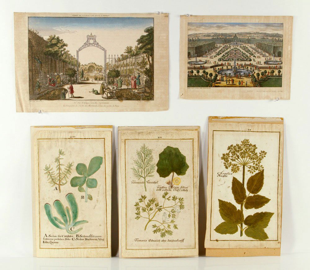 Lot of 5 Hand Colored Prints (1 of 4)