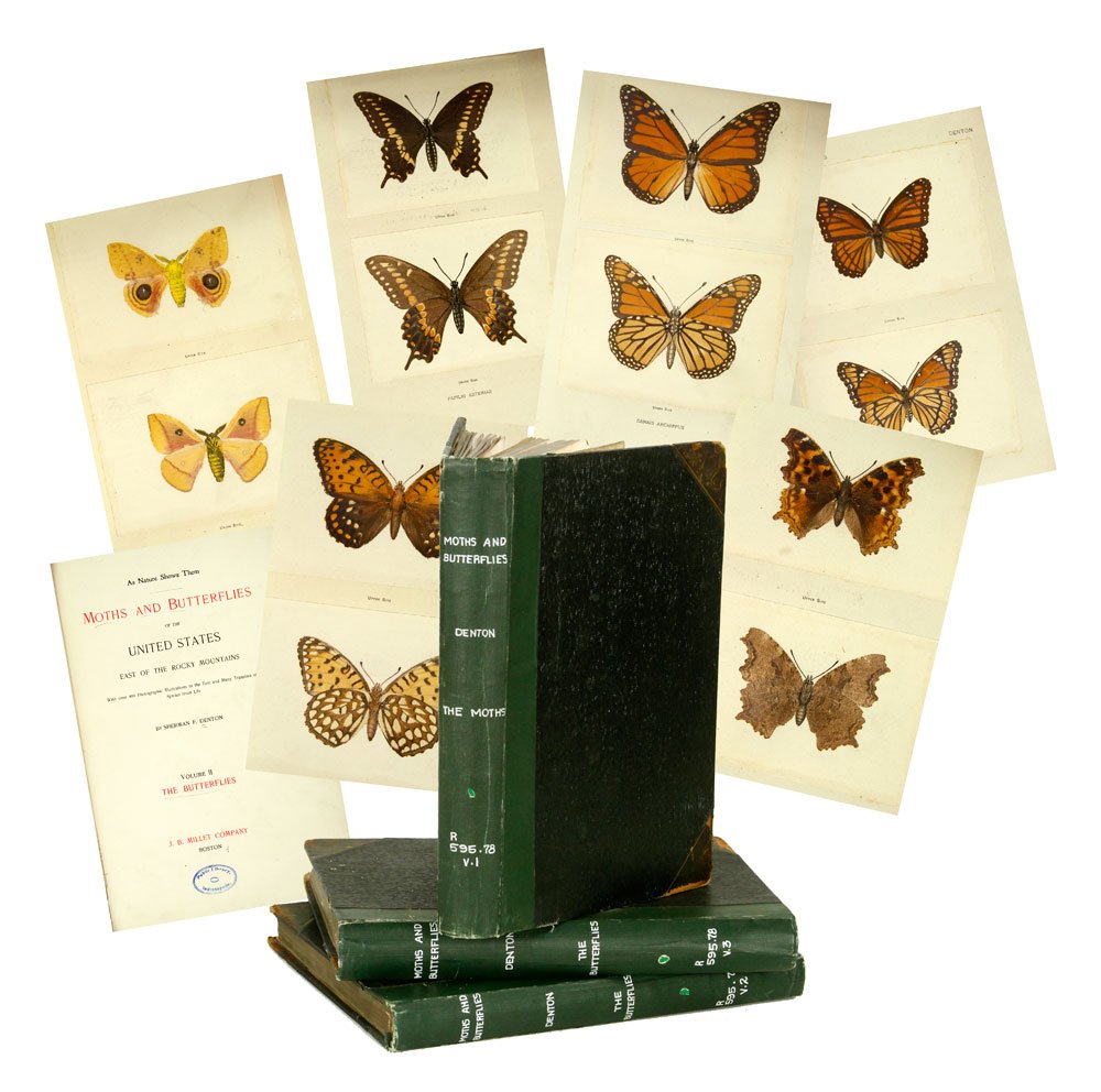 "As Nature Shows Them: Moths and Butterflies of the: Three volume set of "As Nature Shows Them: Moths and Butterflies of the United States, East of the Rocky Mountains," by Sherman Foote Denton (1836-1937), published by J. B. Millet Co., Boston, copyrig