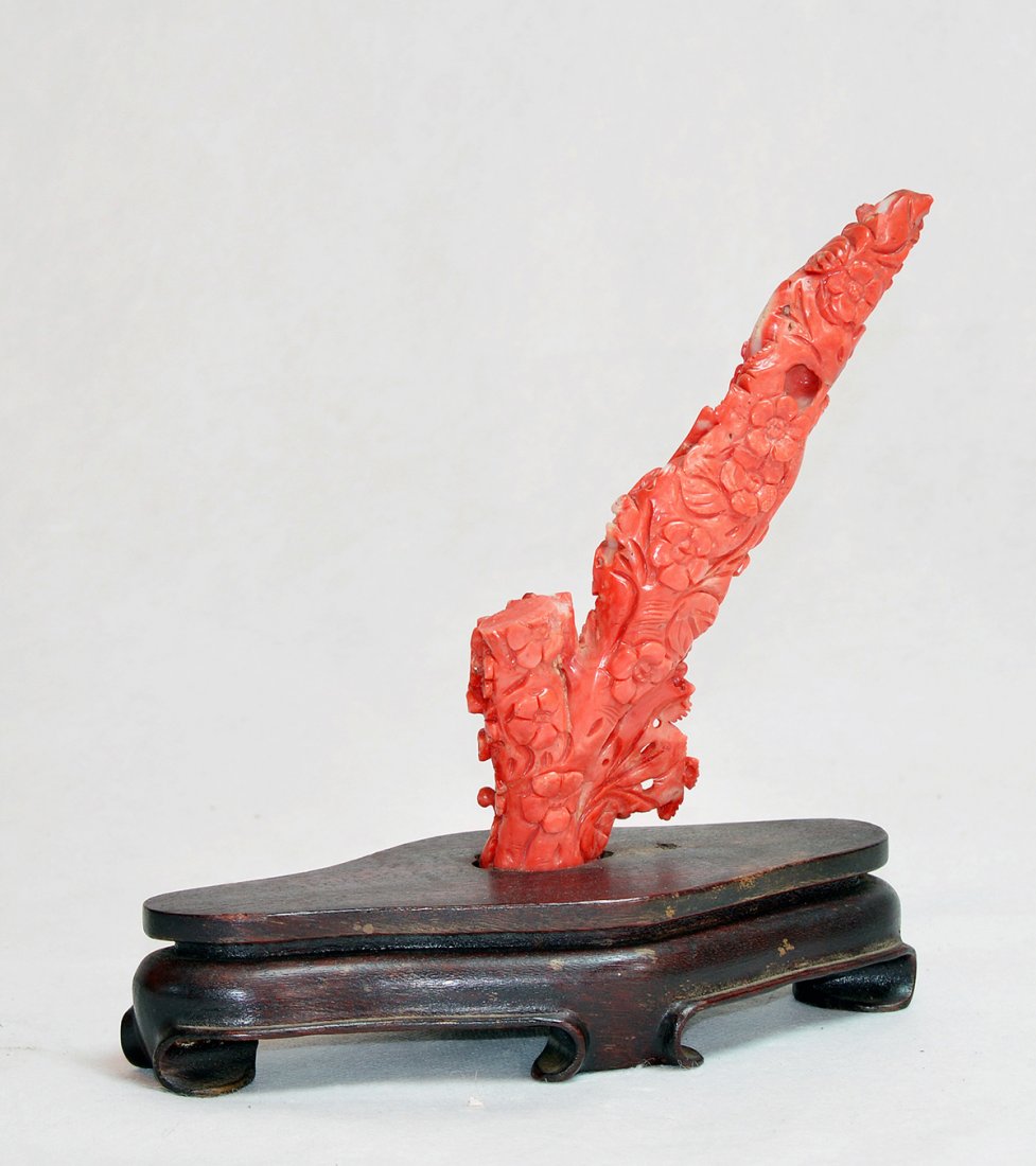 1920s Coral Branch (1 of 2)