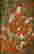 item-43809400=2