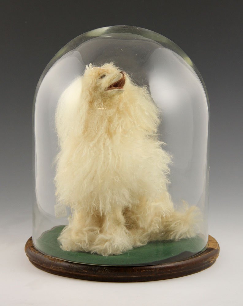 English Miniature Poodle Figure (1 of 4)
