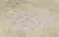 item-45048610=2