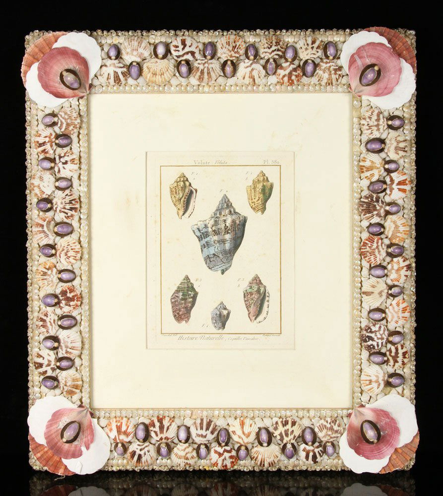 Early 19th C. Histoire Naturelle Engraving (1 of 5)